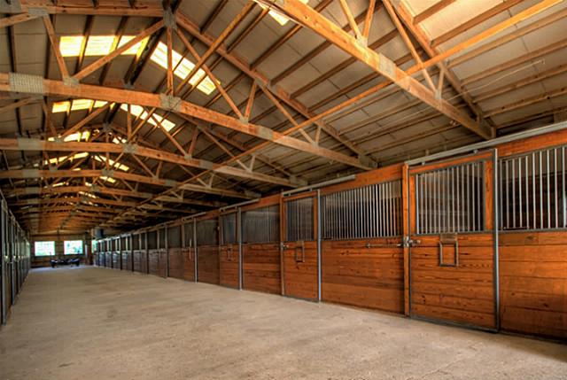 BarnAisleAndStalls