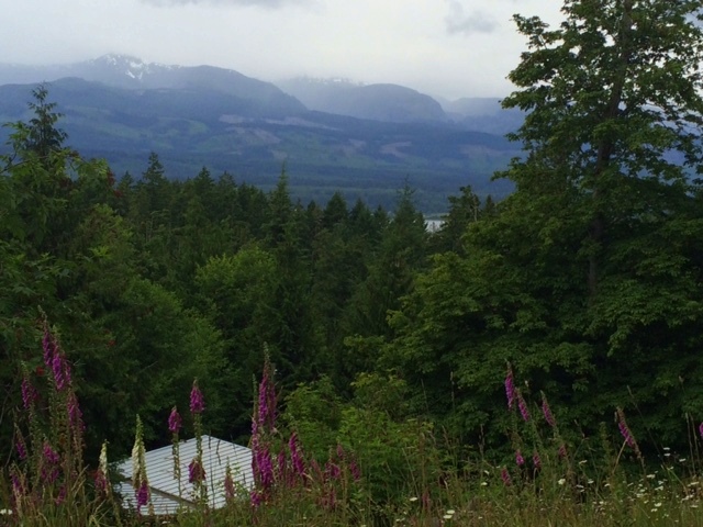 View of Vancouver Island from one of the buildable sites