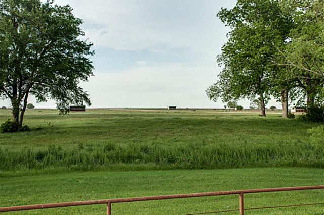 Hay pastures