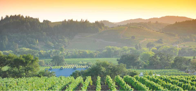Cast Wines Sonoma County