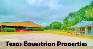 Texas Equestrian Properties