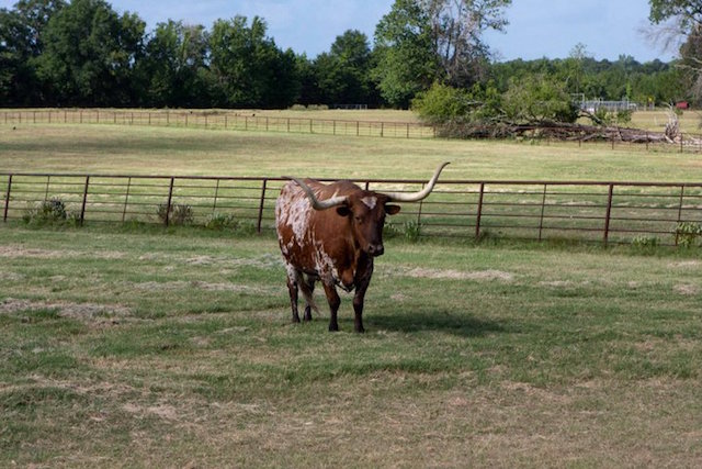 Breunig Ranch | CandysDirt.com