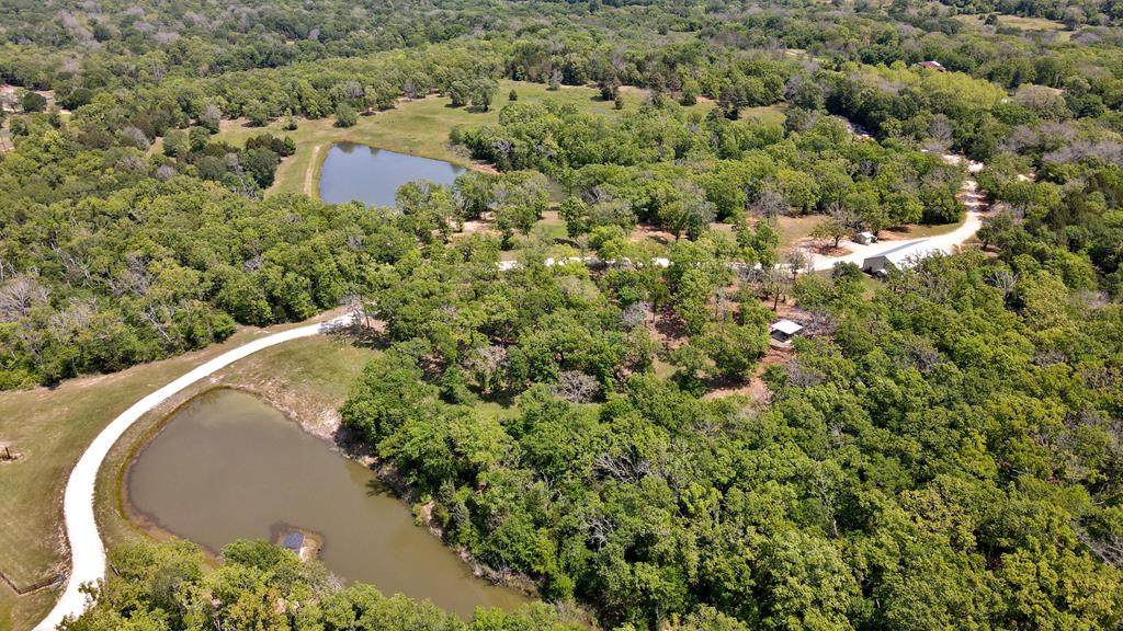 This image has an empty alt attribute; its file name is 27E582B5-BE6D-4145-BC23-6B40627F4317.jpeg