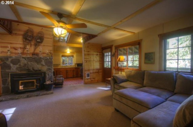 forest, cabin, wilderness